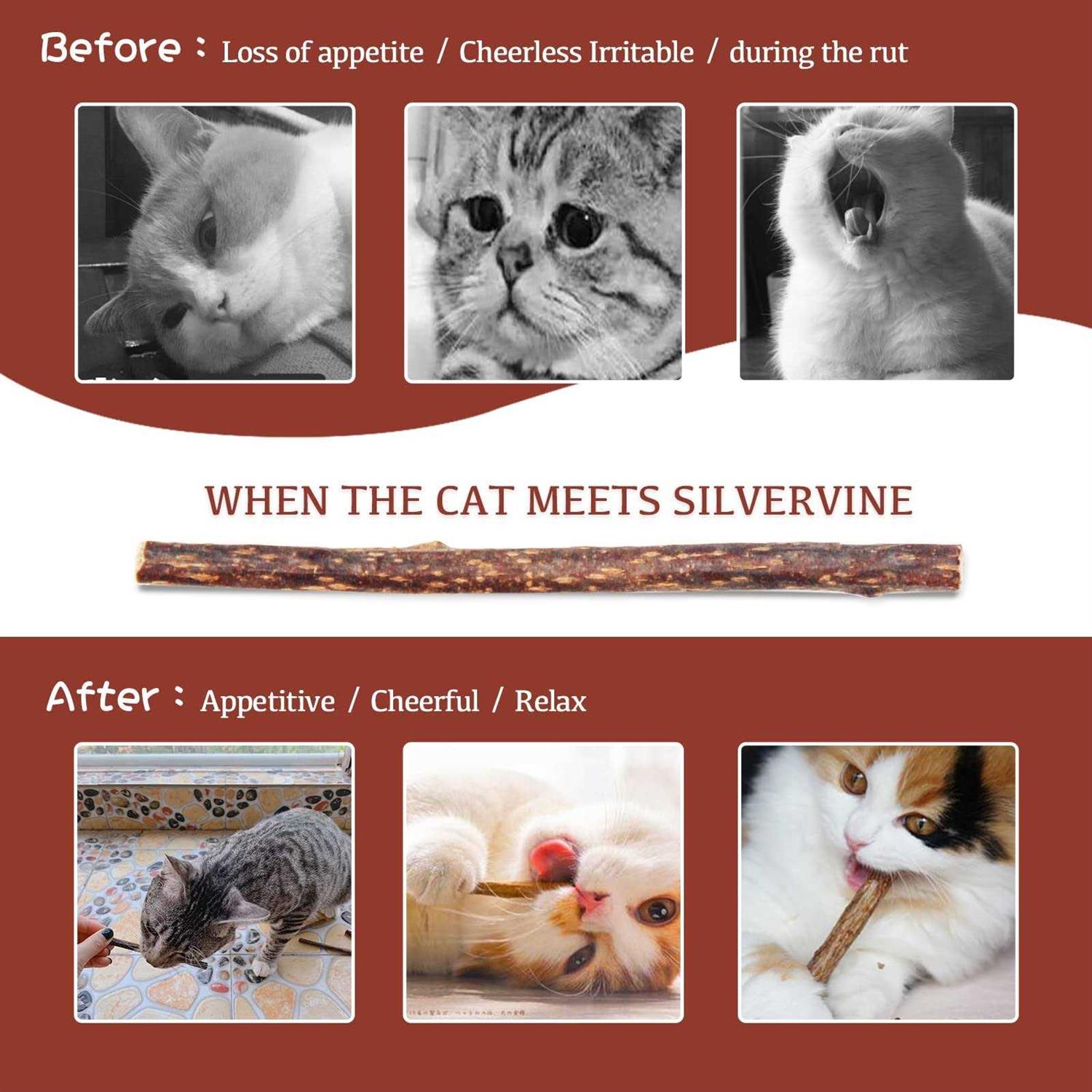 Luystoka 30pcs Kitten Toys Catnip Toys Matatabi Silvervine Sticks Kitty Chew Toys Wooden Stick Kitten Teething Toys Molar Suitable for Cats of All