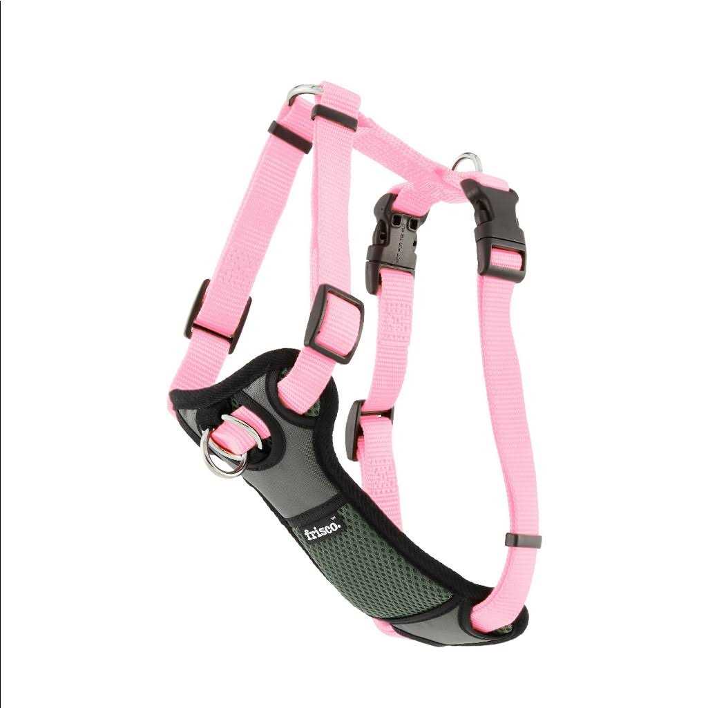 Frisco Padded Nylon No Pull Dog Harness