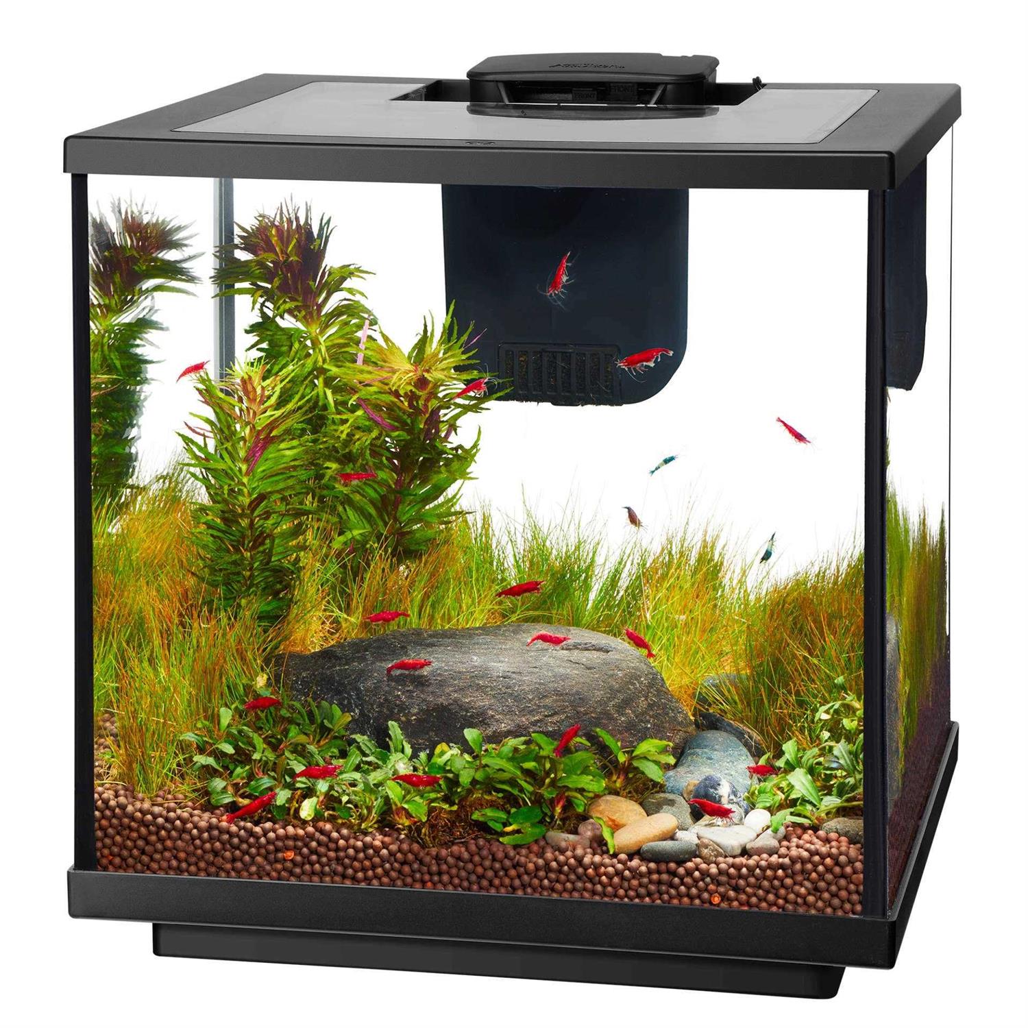 Aqueon 7.5 Gallon LED Shrimp Aquarium Kit