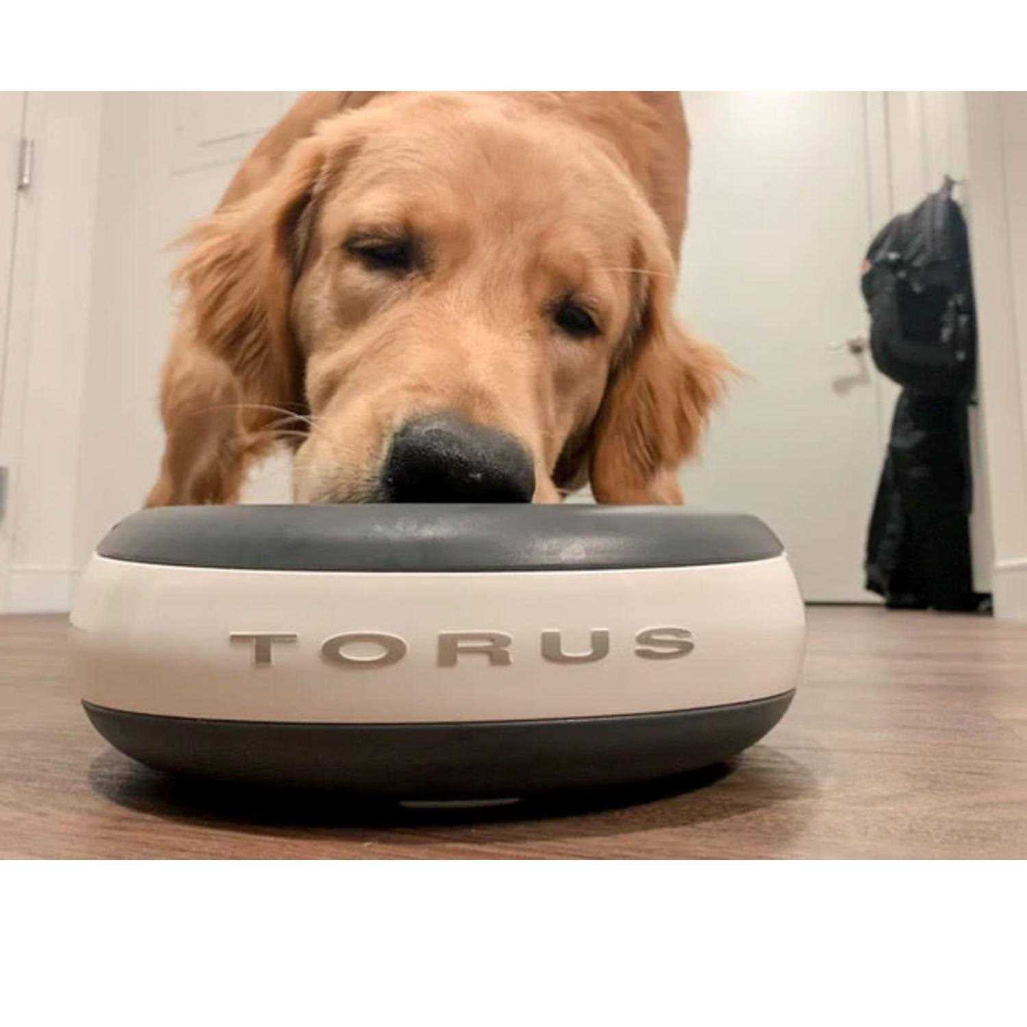 Torus Maxi Filtered Water Bowl 2-Liter