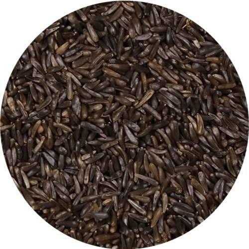 Wagner’s Nyjer Seed Wild Bird Food