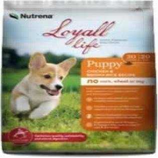 Loyall Life Puppy Chicken & Brown Rice