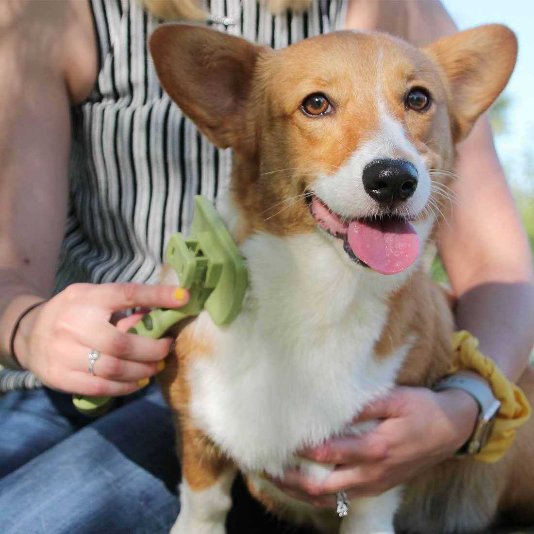 Safari Complete Cat Brush