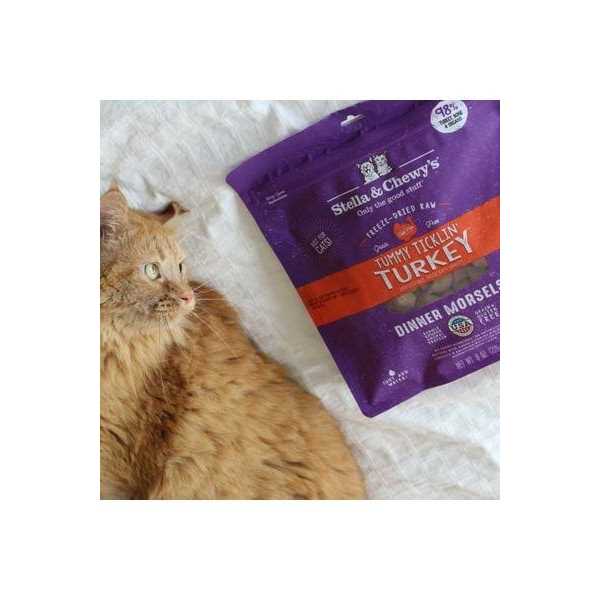 Stella & Chewy’s Freeze-Dried Cat Dinner