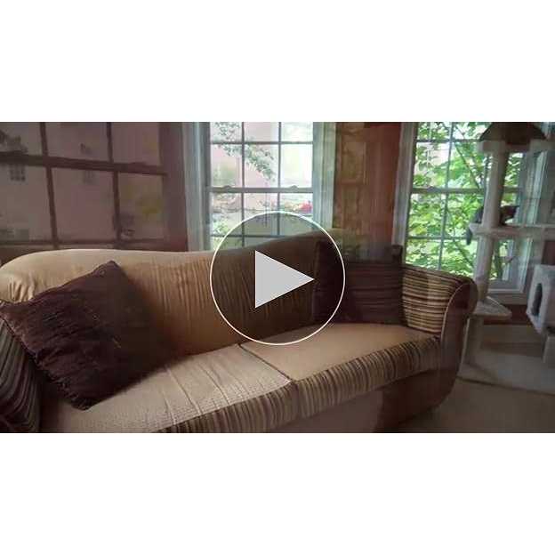 Armarkat B6802 Classic Real Wood Cat Tree In Ivory