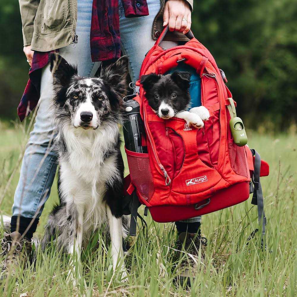 Kurgo G-Train Backpack Dog Carrier