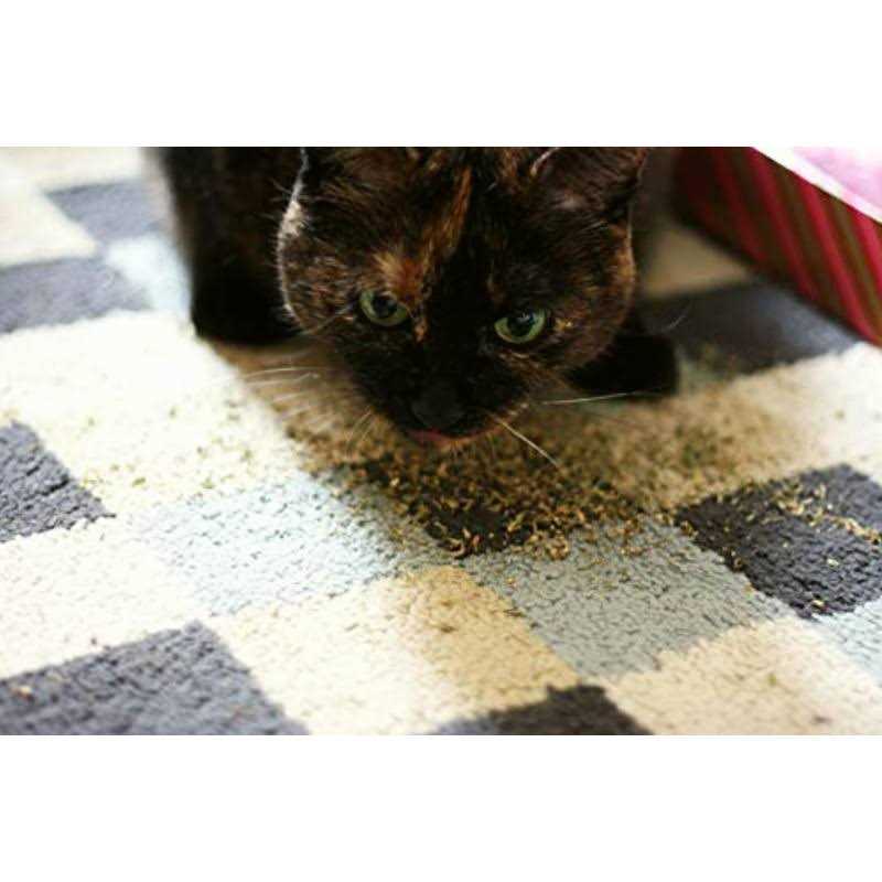 Meowijuana Mice Dreams Passion Flower Lavender Catnip Blend