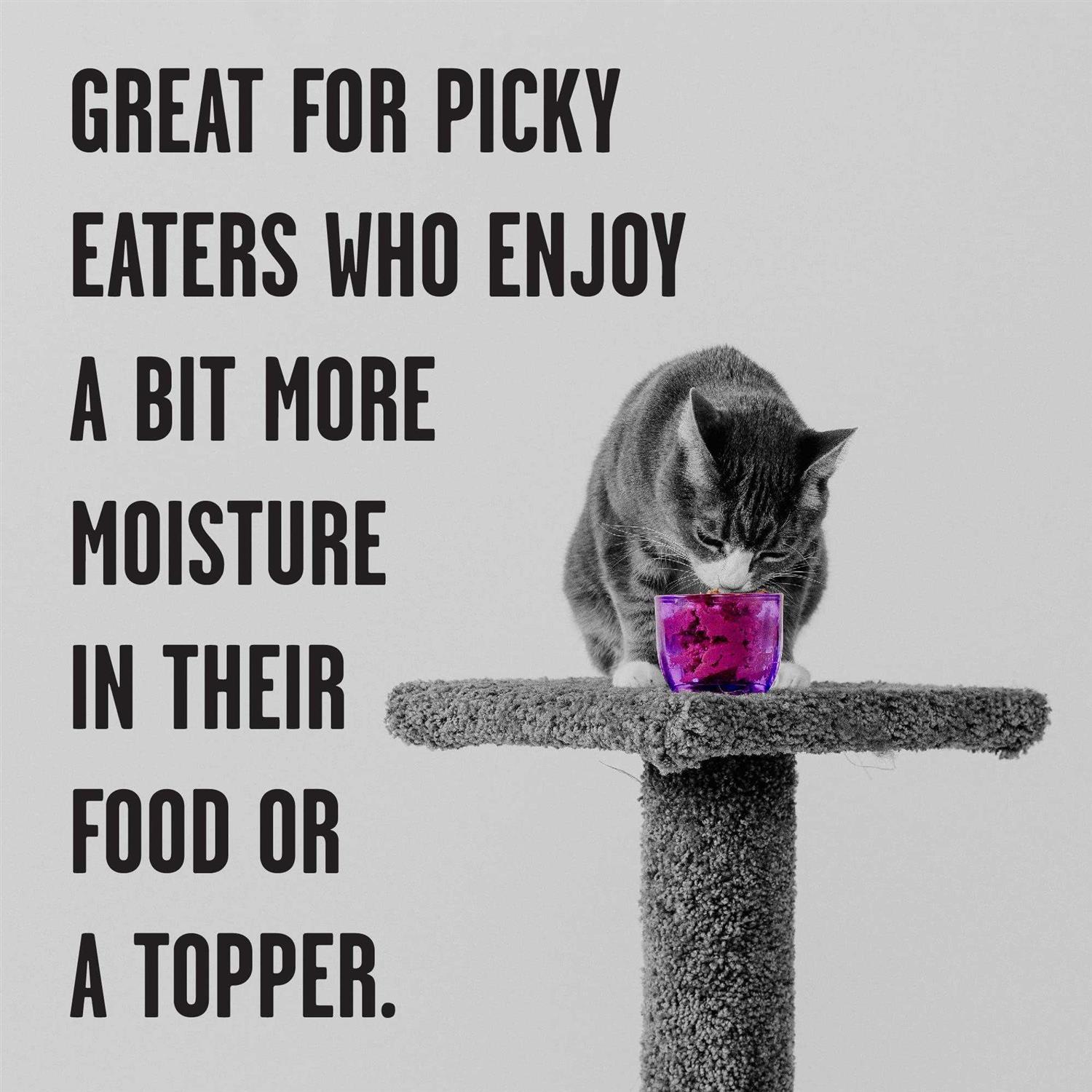 Bixbi Rawbble Chicken Recipe Shredded Canned Cat Food