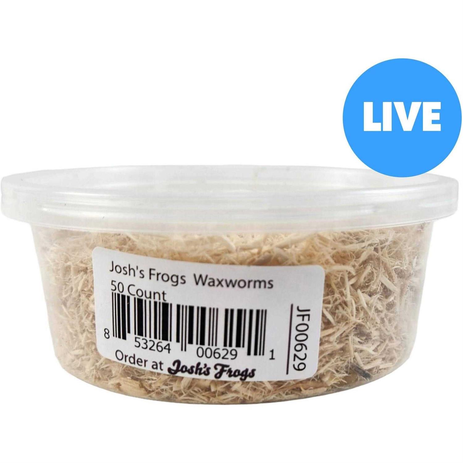 Josh’s Frogs Waxworms Live Feed Reptile Food