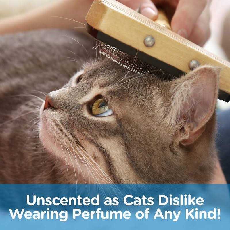 Pet MasterMind Fab Fur Kitty Detangling Cat Spray