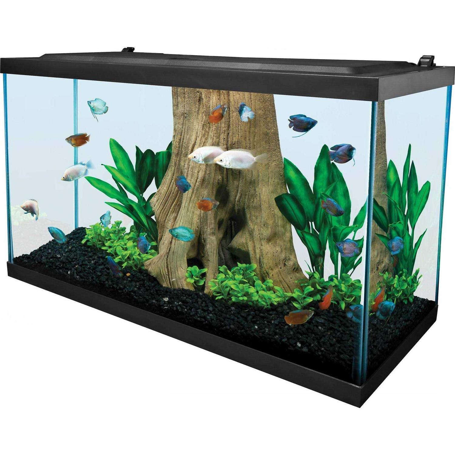 Tetra Glass Aquarium 29 Gallons