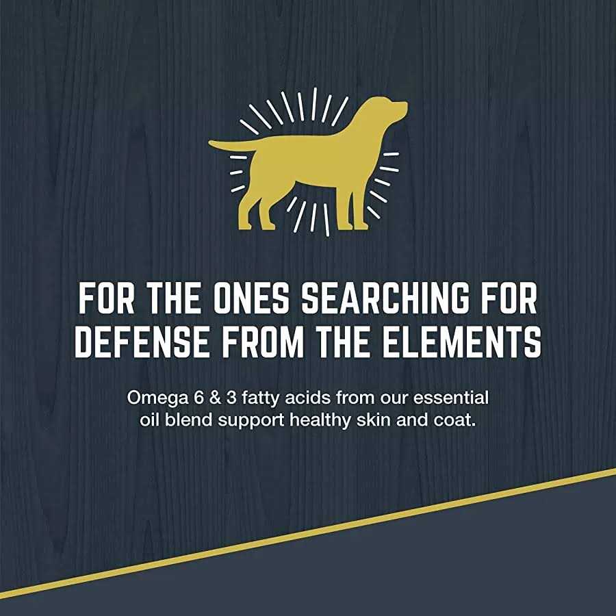 Black Gold Explorer Dry Dog Food Original Performance Formula