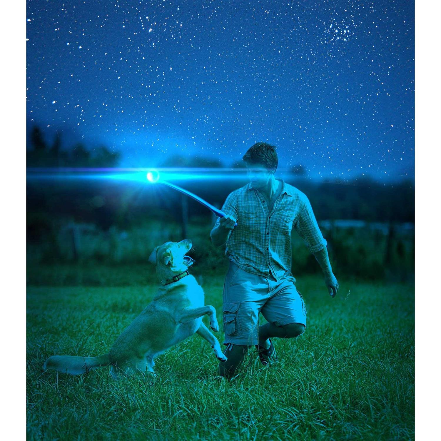 Chuckit Light Up Fetch Ball for Dogs