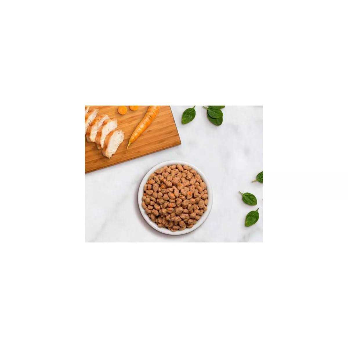 Freshpet Select Chicken Tender Recipe Moisture Rich Tender Bites Dry Cat Food