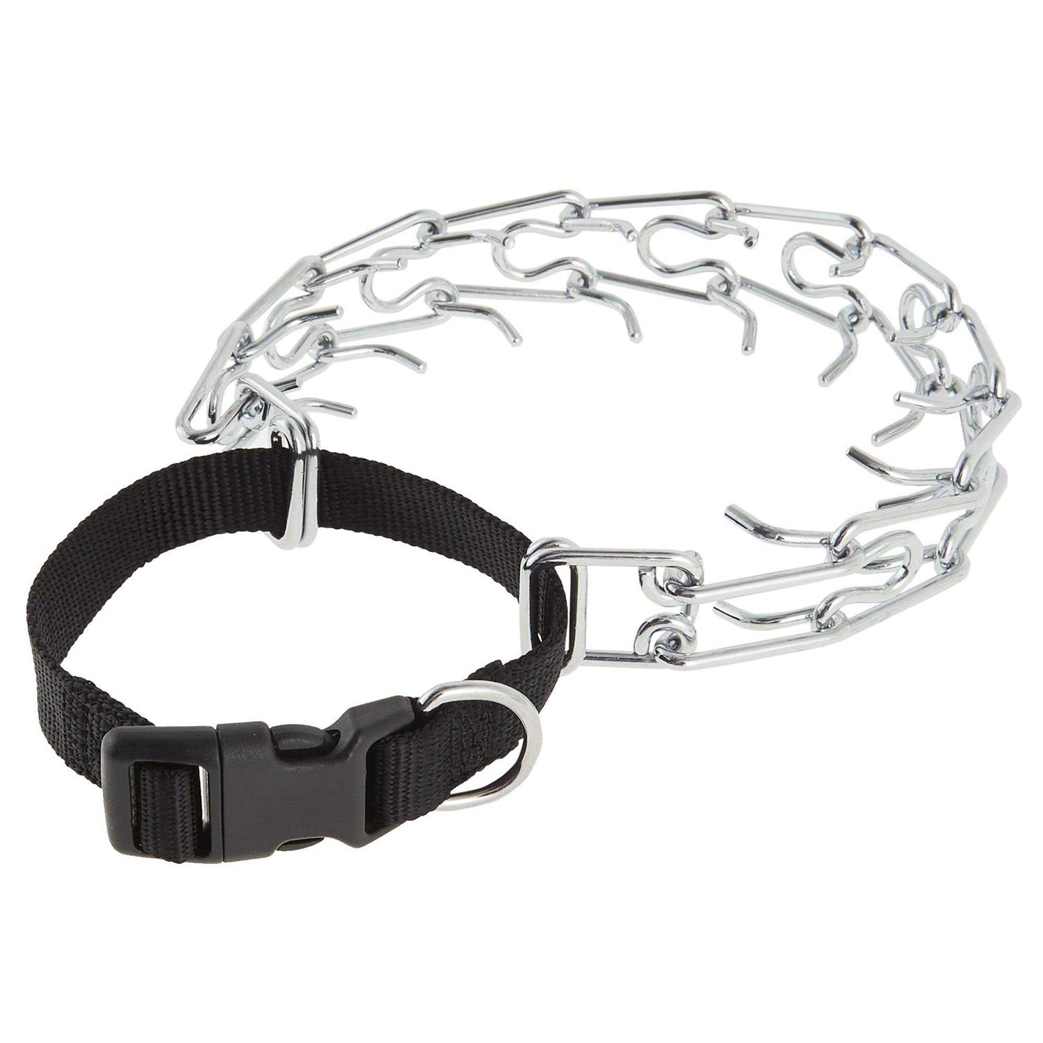 Top Paw Buckle Prong Training Dog Collar