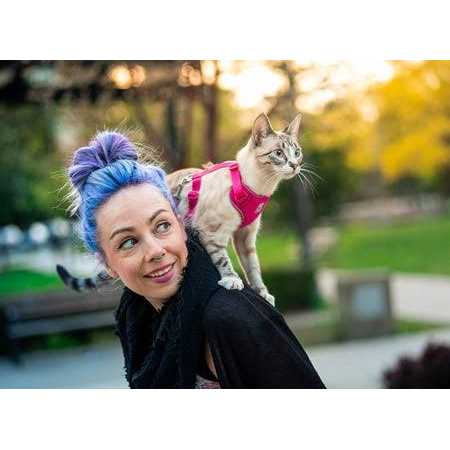 RC Pets Adventure Kitty Cat Harness