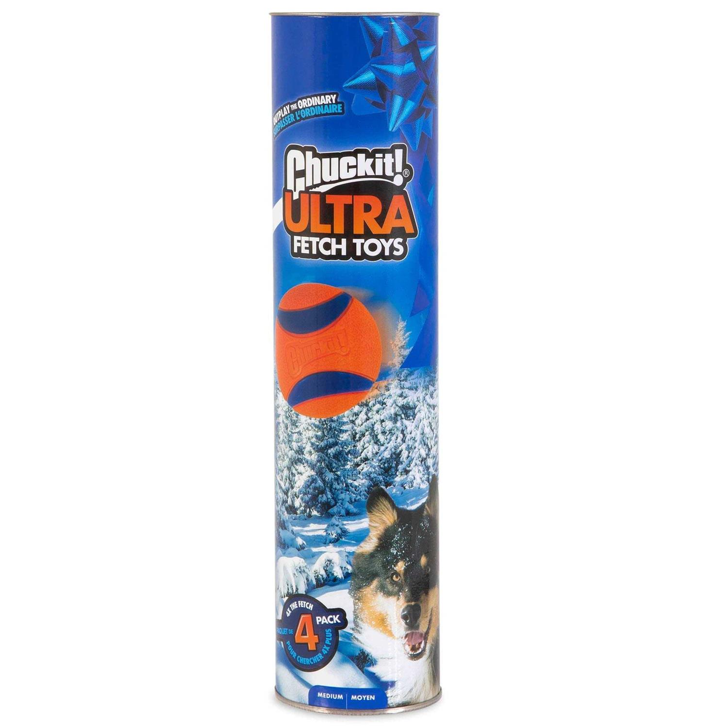 Chuckit! Canister Ultra Ball Dog Toy