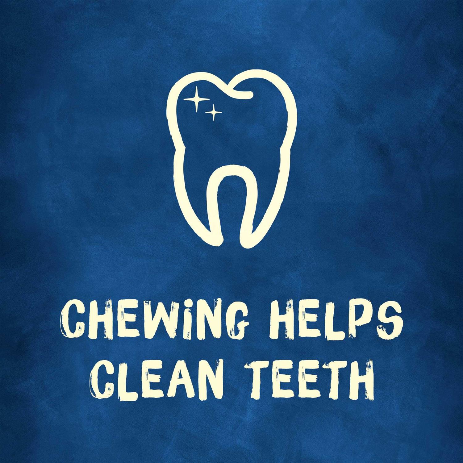 Purina Busy Bone Small & Medium Peanut Butter Dog Treats