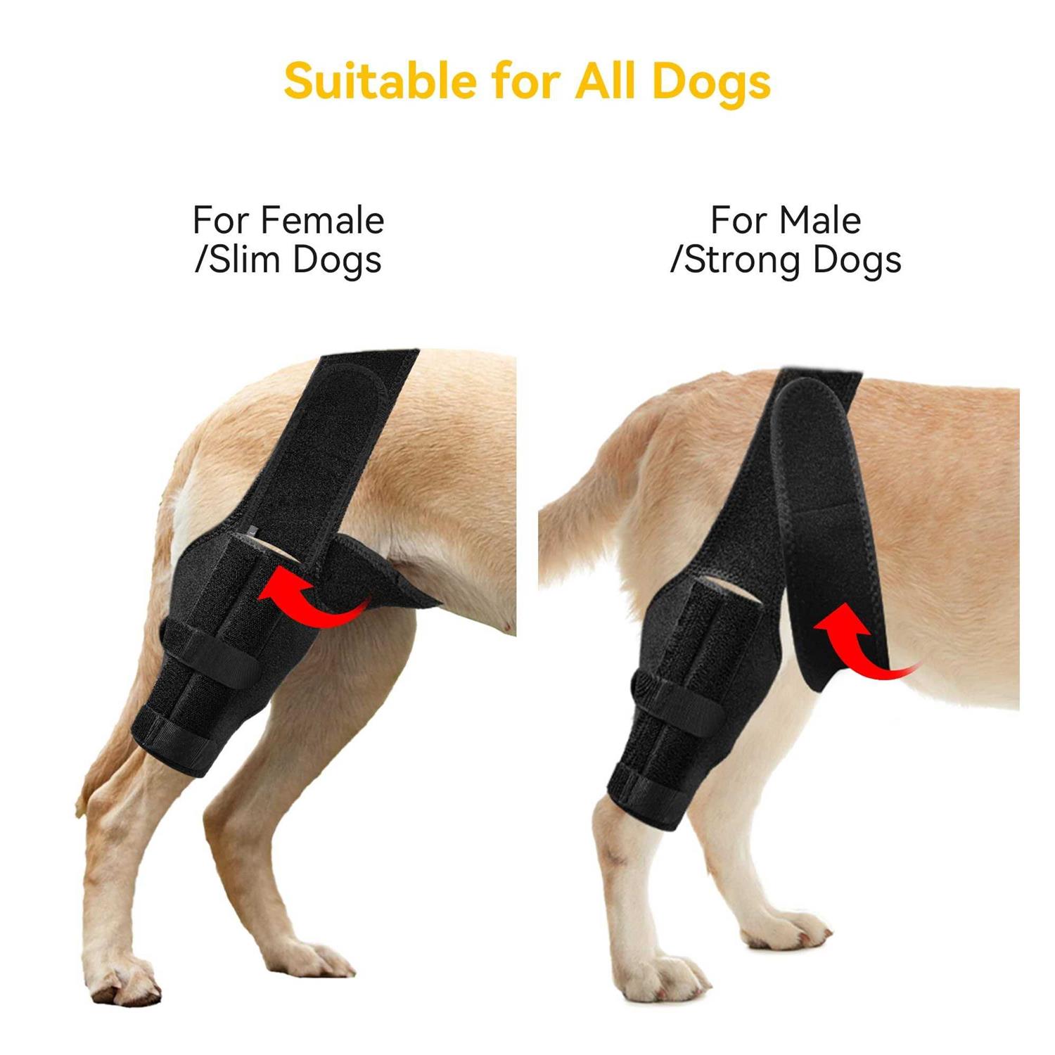 soundfuse Dog Knee Brace, Leg Brace for ACL with Cruciate Ligament Injury, Joint Pain and Muscle Sore