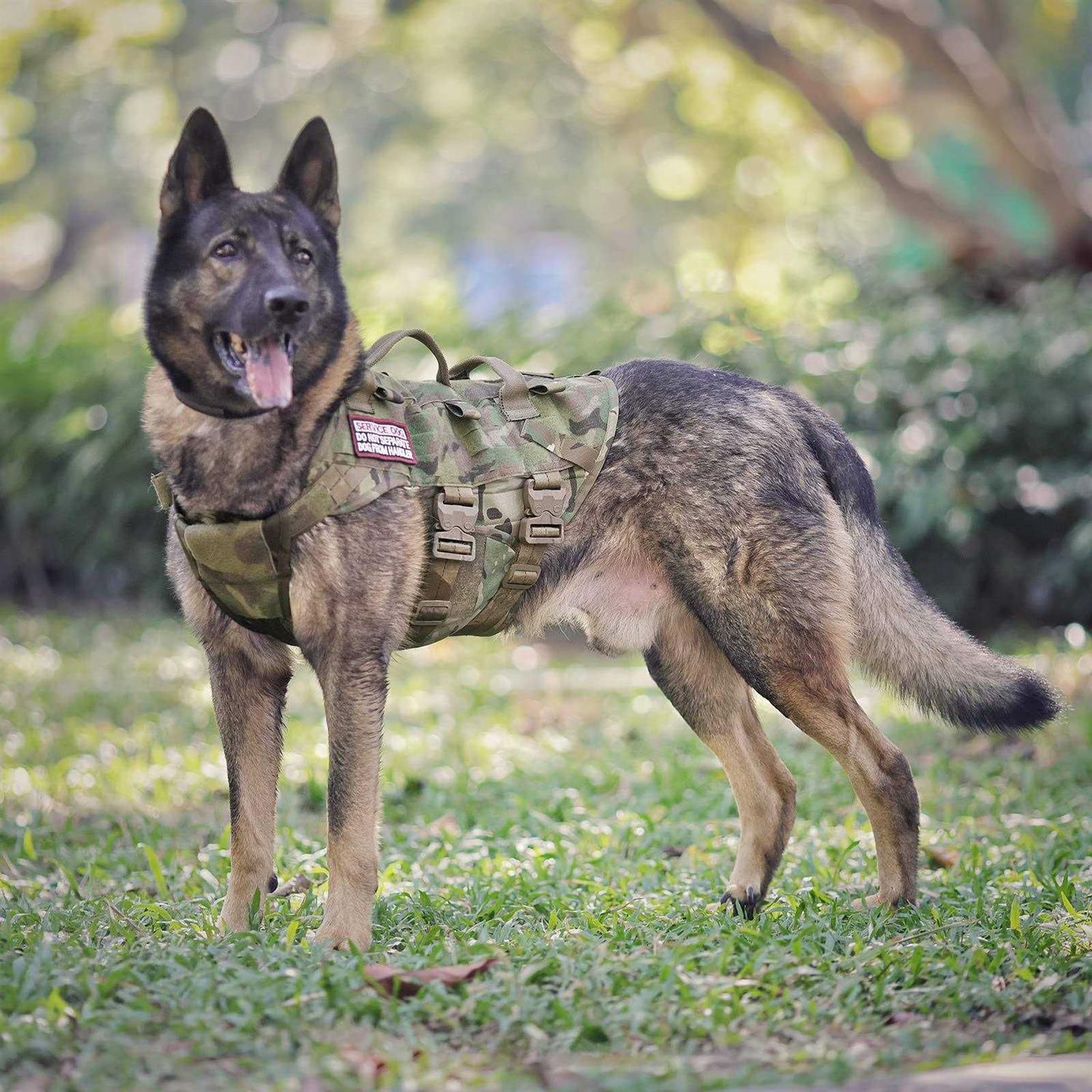 PETAC GEAR Tactical Dog Harness K9 Dog Training Vest Adjustable Padded Police Service Dog Working MOLLE Vests for Large Medium Dogs Mals GSD Lab