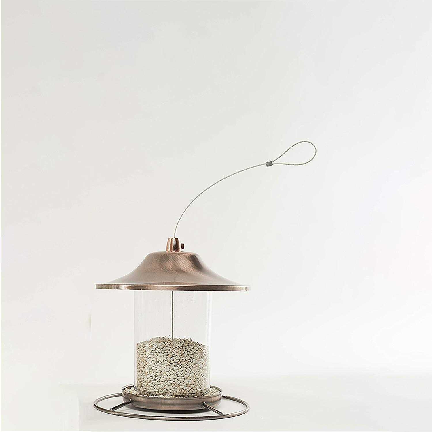 Shafer Seed Safflower Seed Wild Bird Food