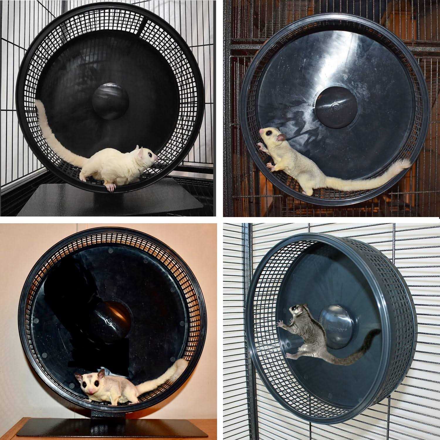 Exotic Nutrition Silent Runner Pro