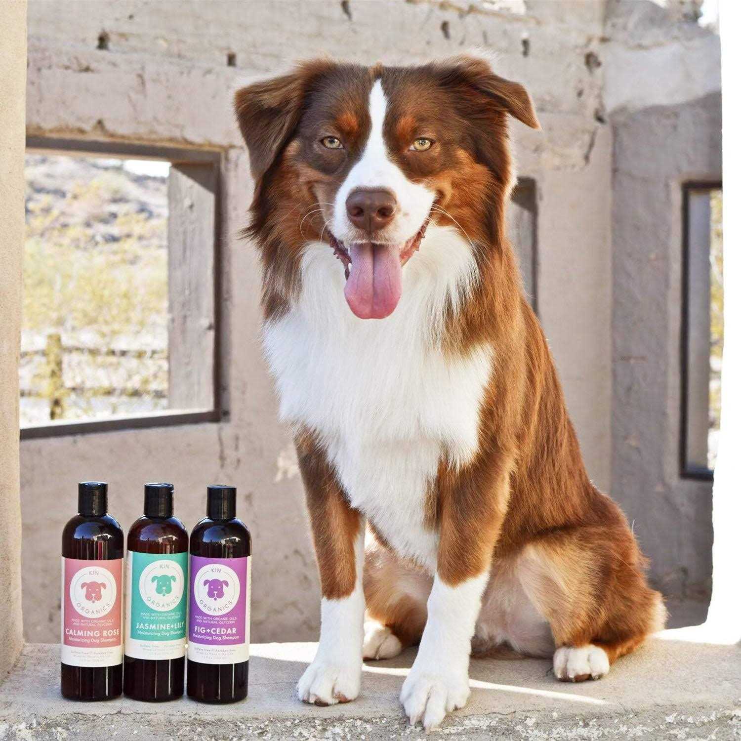 kin+kind Kin Organics Jasmine & Lily Dog Shampoo