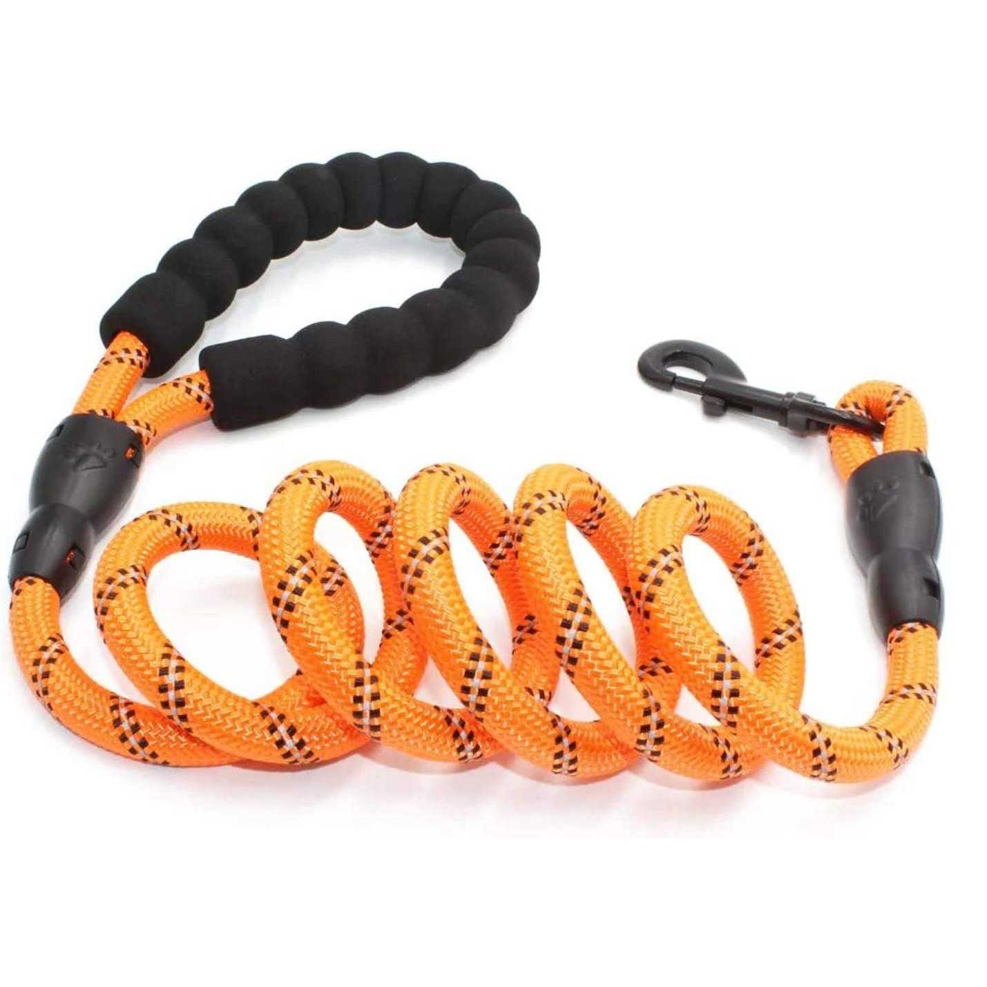 Doggy Tales Braided Dog Leash
