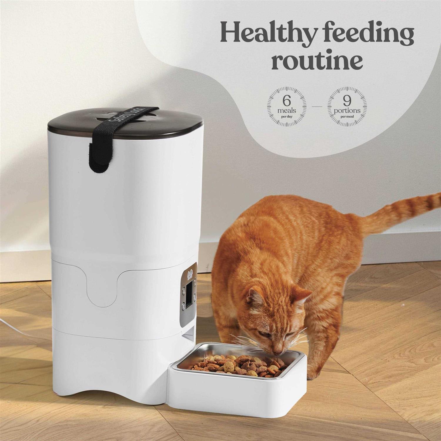 Pitpet Smart Automatic Cat Feeder 6-L Reliable Automatic Cat Food Dispenser with Display LCD Screen for Easy Set Up -Portion Control Automatic Dog