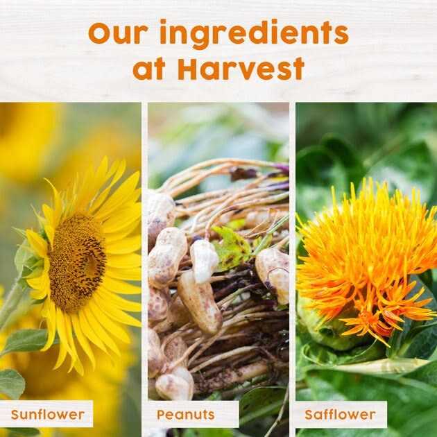 Harvest Seed & Supply Mealworm Snack Stack Wild Bird Food