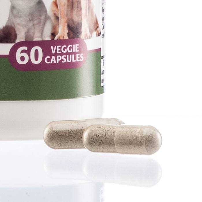 PetAlive Parasite Dr. for Cat & Dog Digestive Detoxification