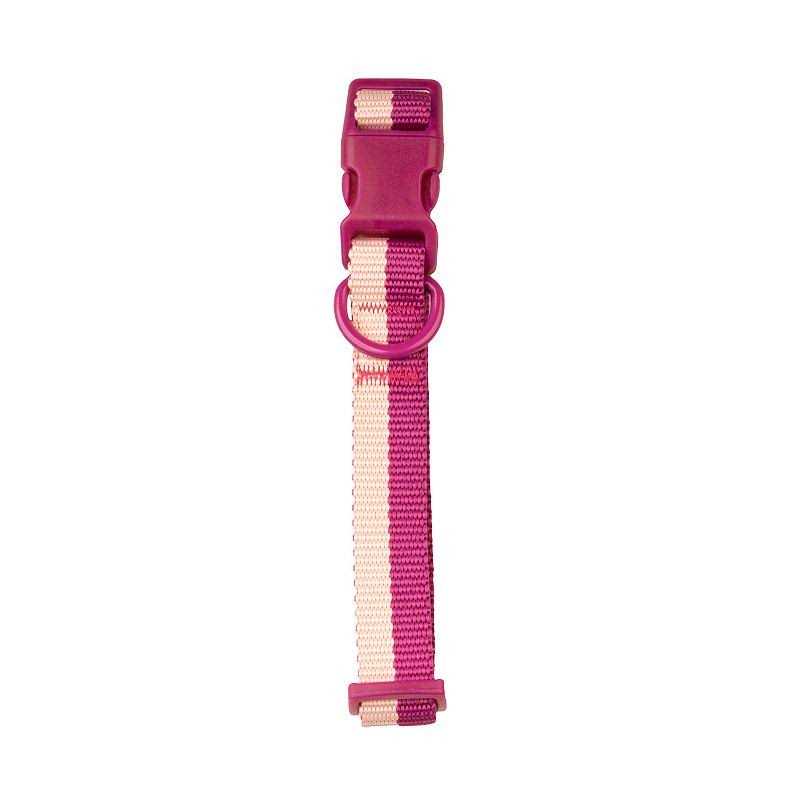Sonoma Goods For Life Colorblock Pet Collar