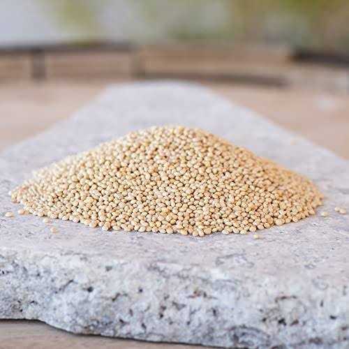 Desert Valley Supply Desert Valley Premium White Millet Proso Seeds