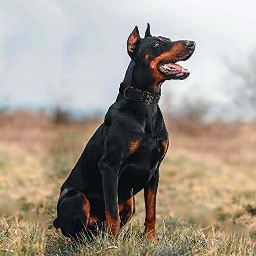 Tactical Dog Collar Military Dog Collar Nylon Adjustable Training Dog Collar Heavy Duty Metal Buckle for Medium Large Dogs