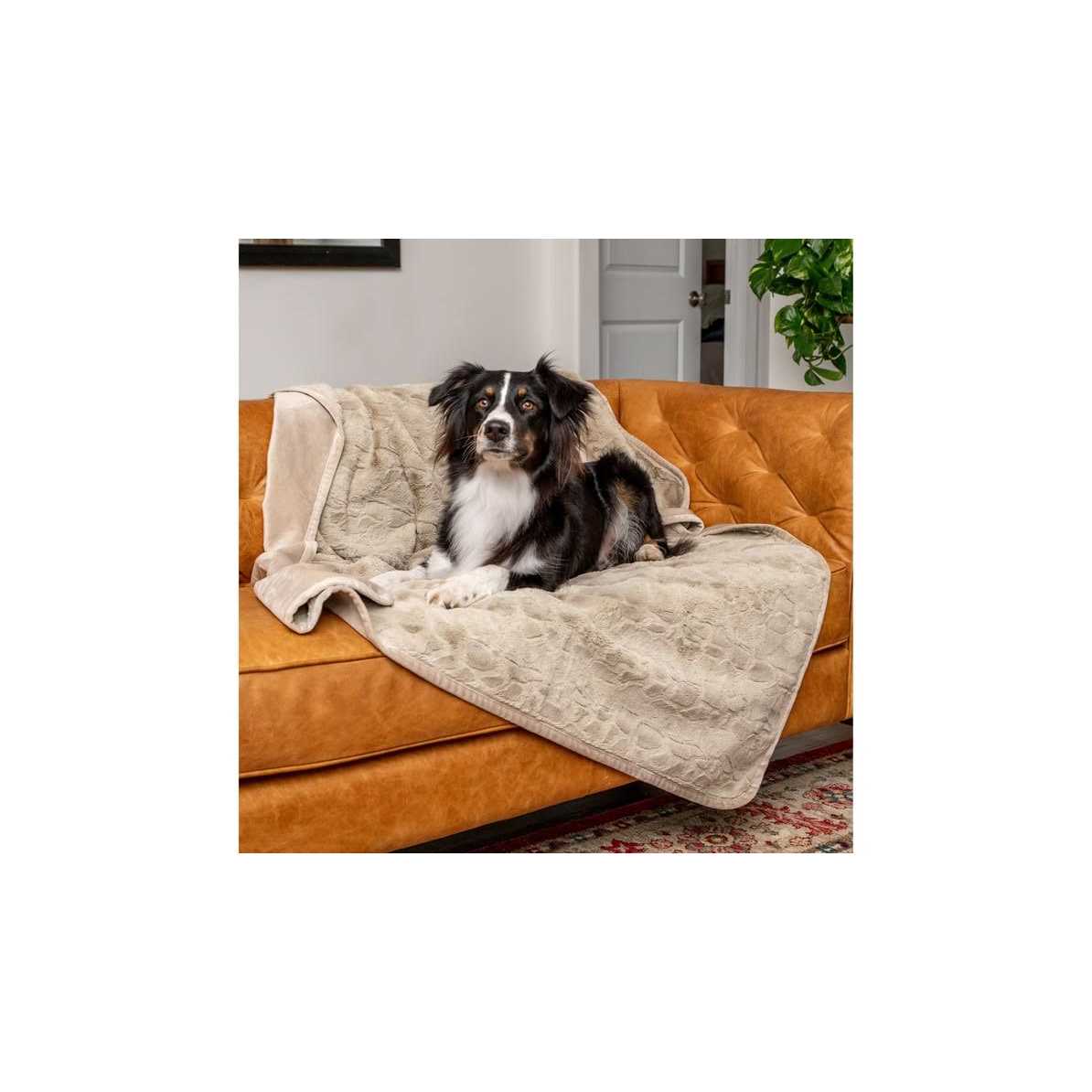 Retriever Simple Water-Resistant Pet Blanket