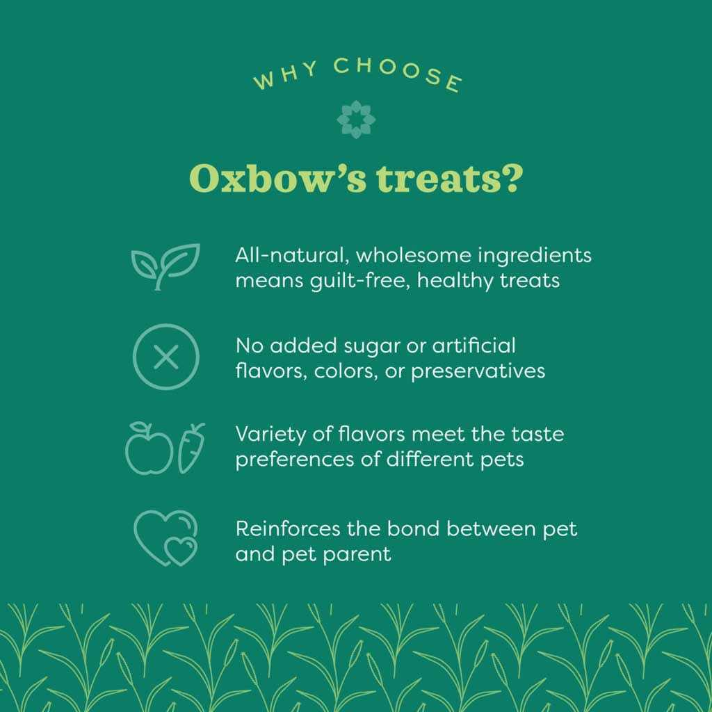 Oxbow Simple Rewards Strawberry Treats