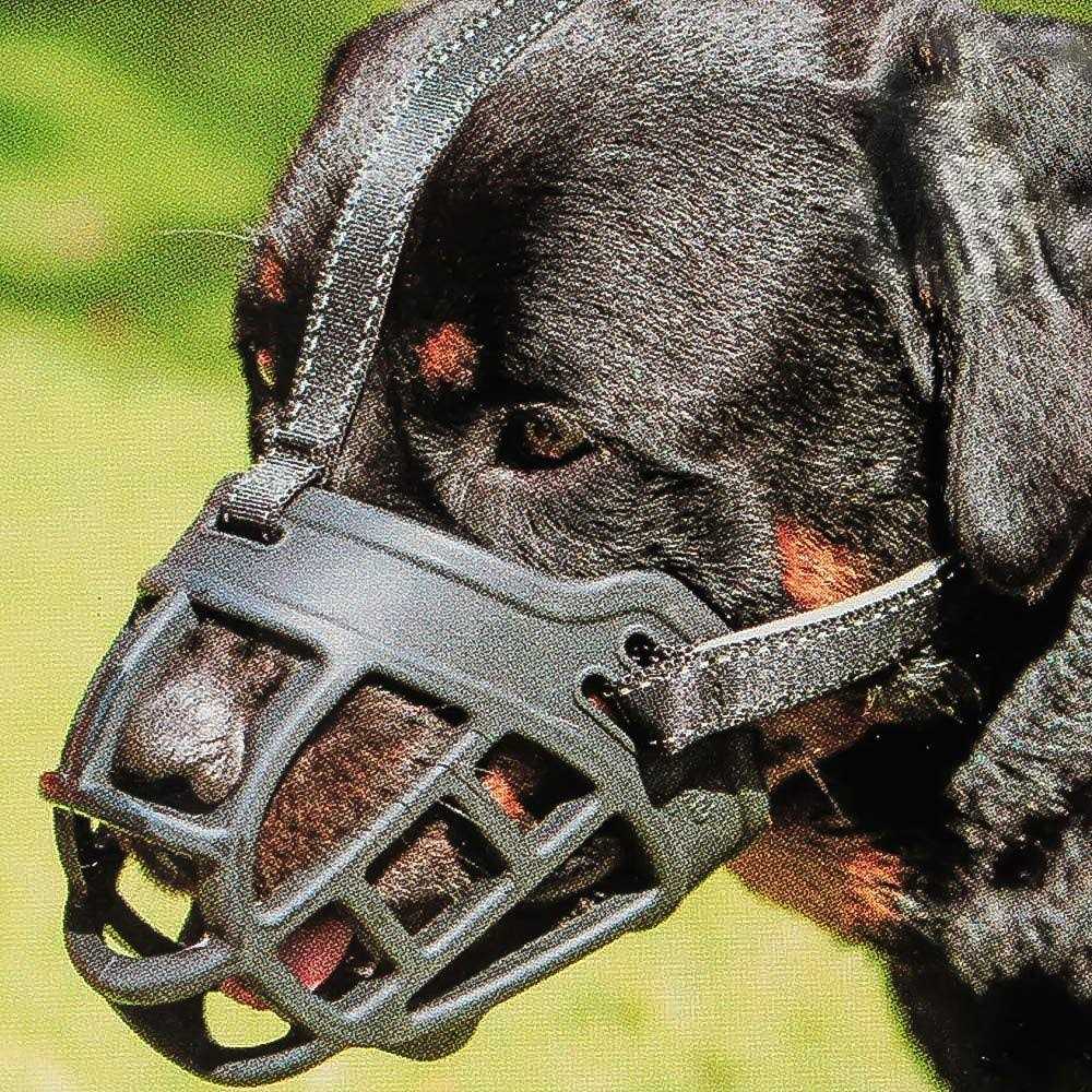 Barkless Dog Muzzle,Soft Basket Silicone Muzzles for Dog, Best to Prevent Biting, Chewing and Barking, Allows Drinking and Panting