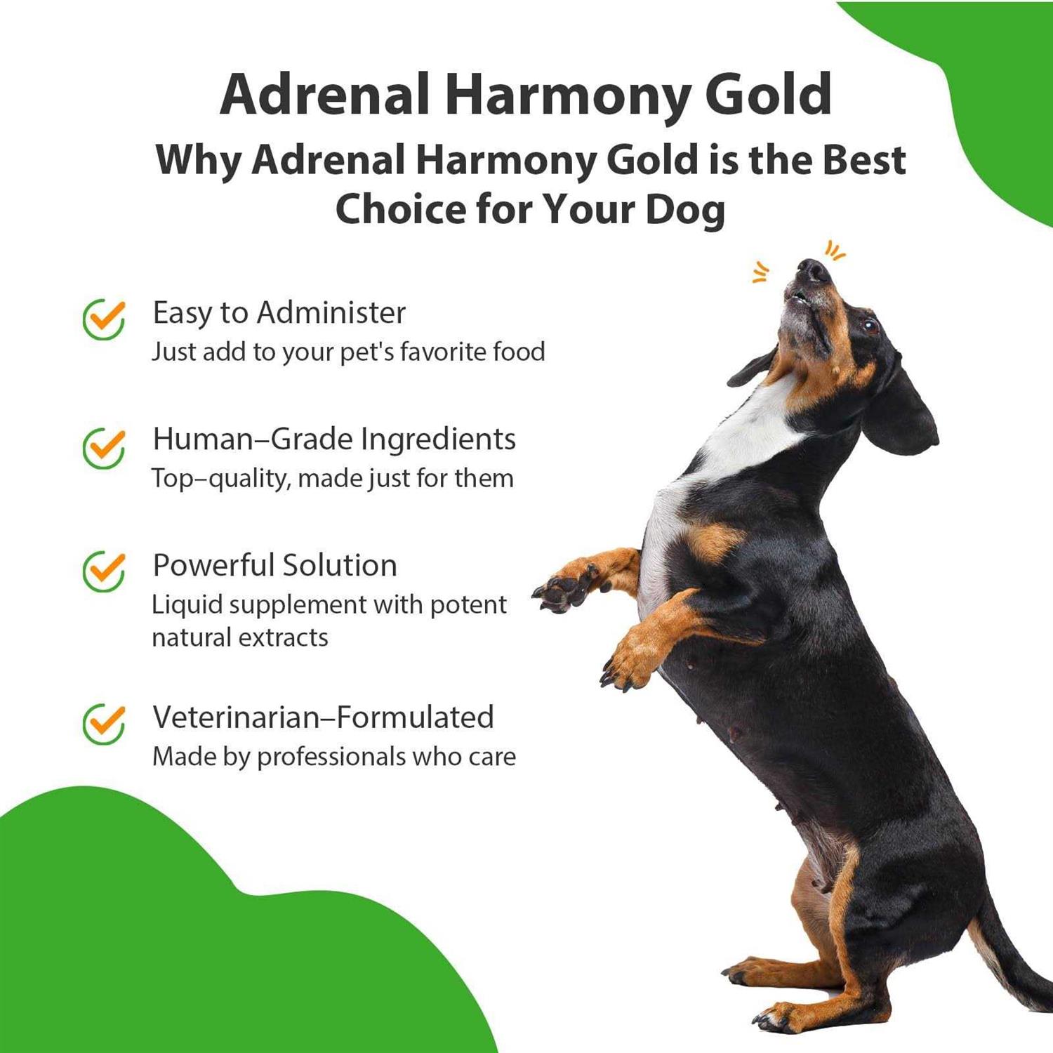 Pet Wellbeing Adrenal Harmony Gold for Dog Cushing’s