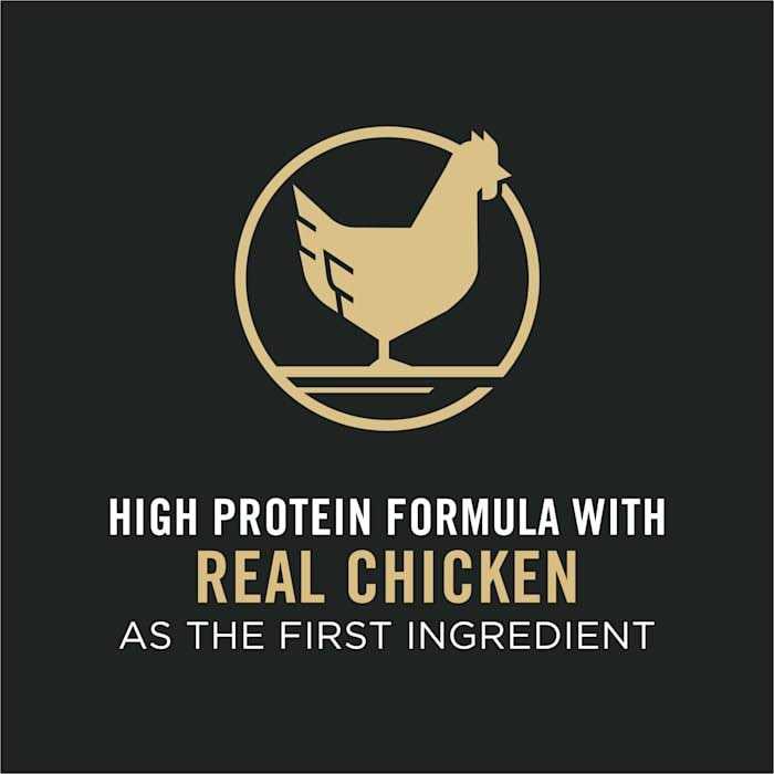Purina Pro Plan Chicken and Rice Formula Senior Dry Cat Food Probiotics