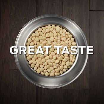 Purina Veterinary Diets HA Hydrolyzed Canine