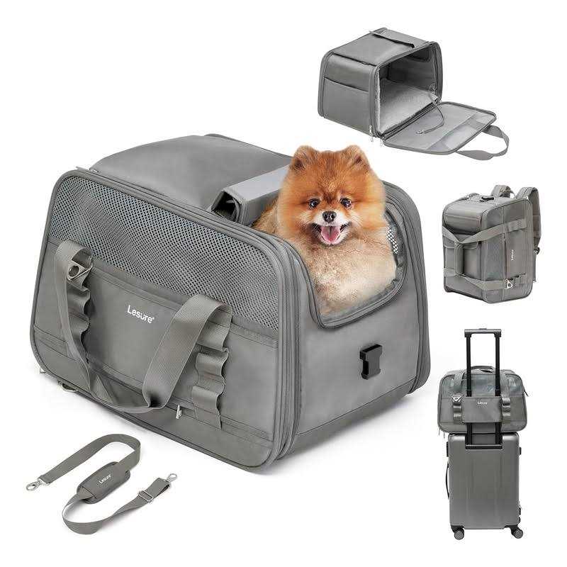 VOISTINO 2-in-1 Double Pet carrier Backpack for Small cats and Dogs