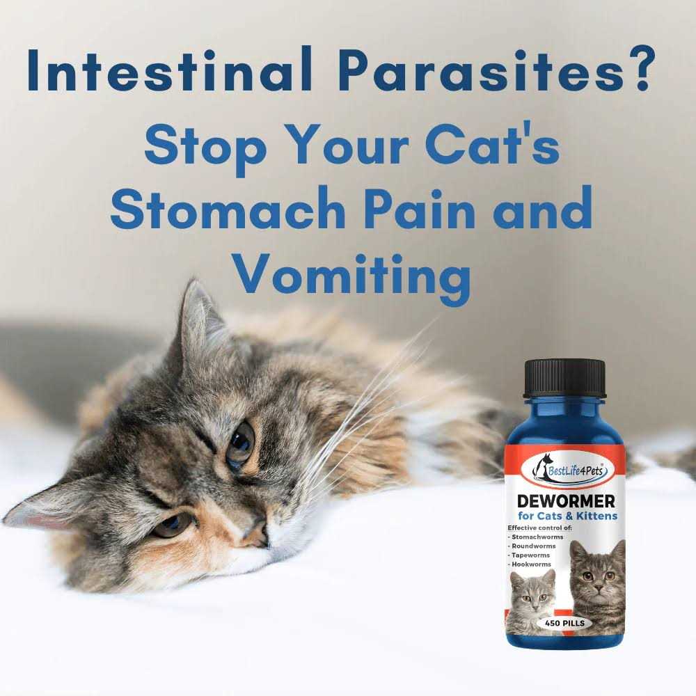 BestLife4Pets Broad Spectrum Dewormer for Cats and Kittens