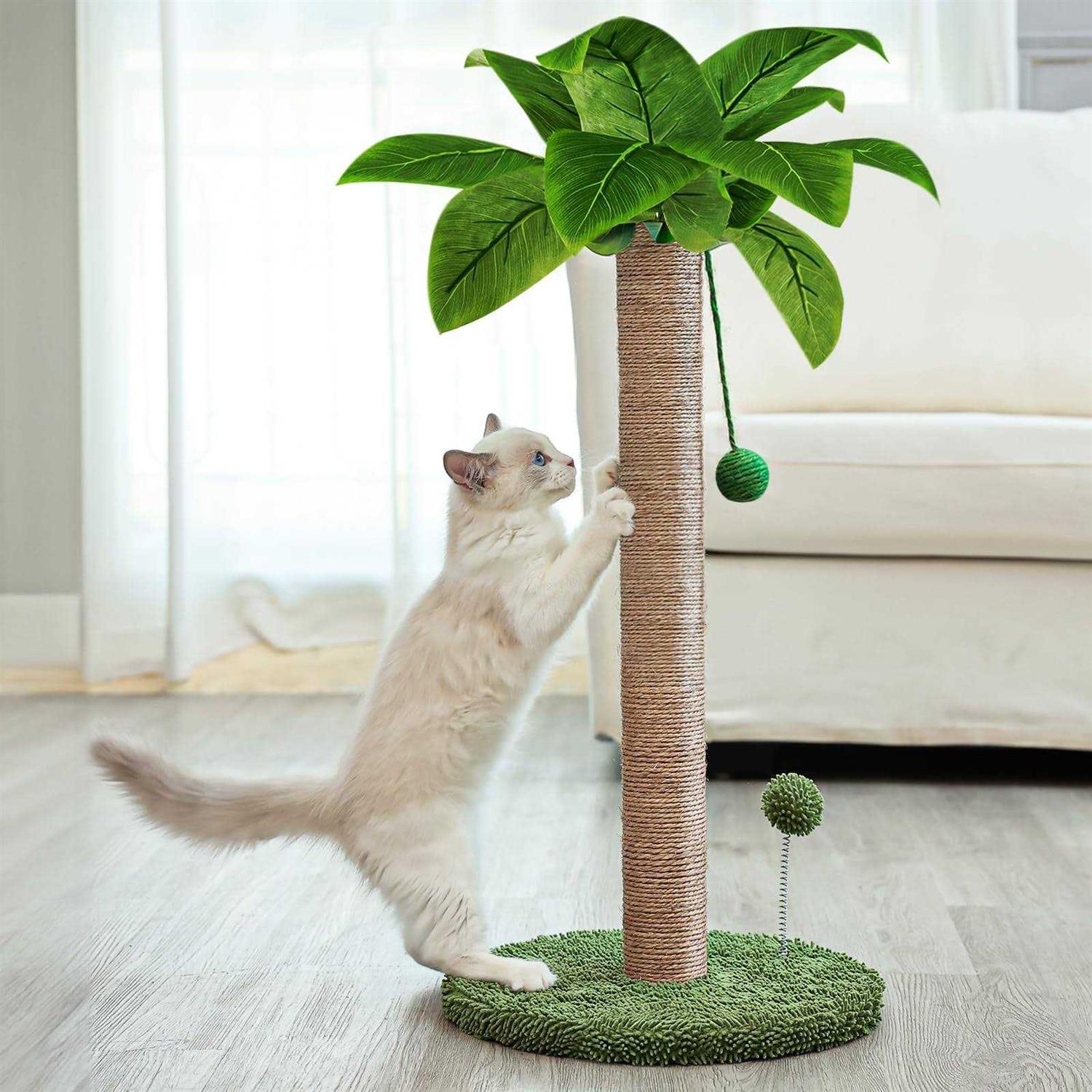 Dohump Cat Scratching Post, 26 Kitten Scratching Post with Premium Sisal Rope, Cute Cat Tree with Dangling and Spring Ball Toys for Indoor Small