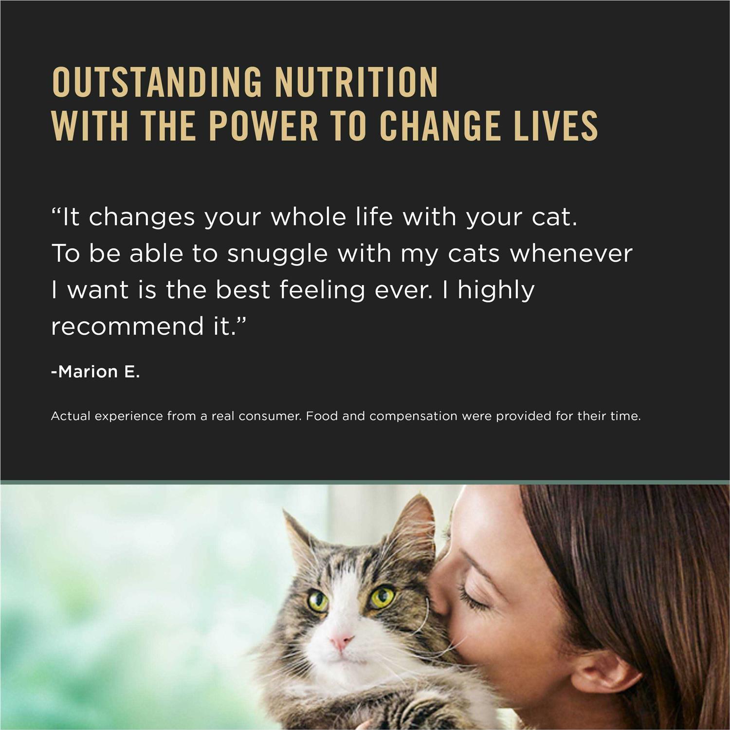 Purina Pro Plan LiveClear Dry Cat Food for Kittens Chicken & Rice Formula