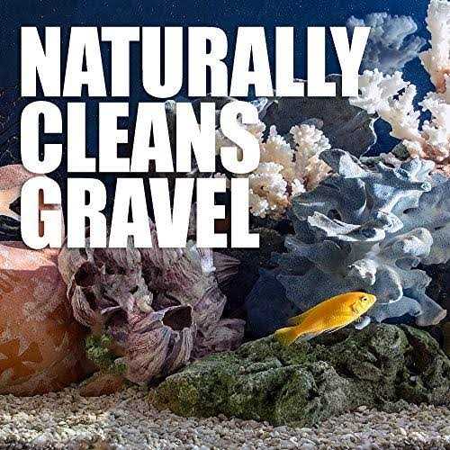 Natural Rapport Aquarium Gravel Cleaner The Only Gravel Cleaner Fish Need