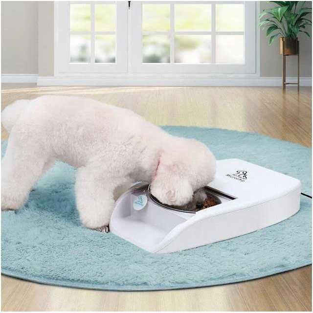 MPM Automatic Microchip Pet Feeder Multi-Pet Cat Dog Feeder