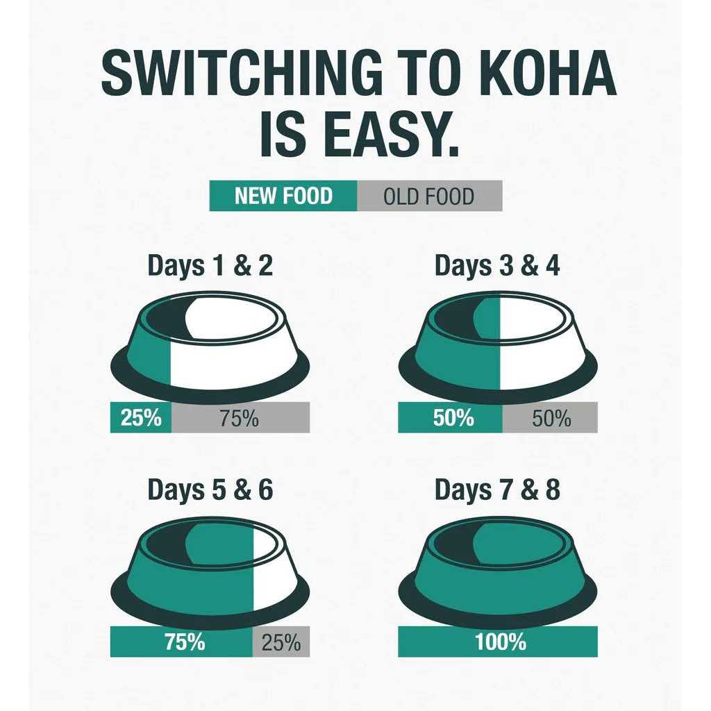 Koha Grain & Potato Free Limited Ingredient Diet Salmon Entree with Pumpkin Canned Dog Food