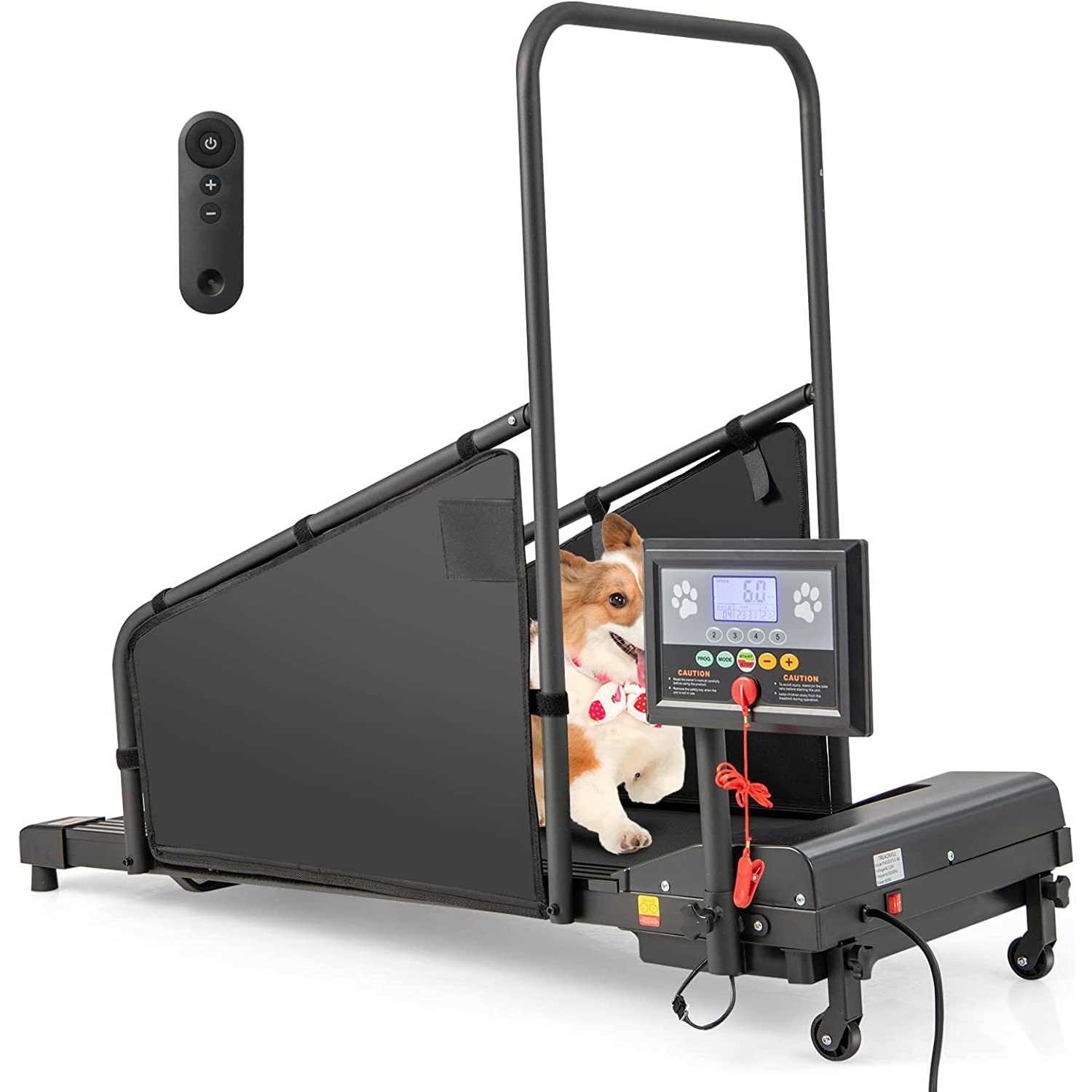 Indoor Pet Exercise Equipment with Remote Control