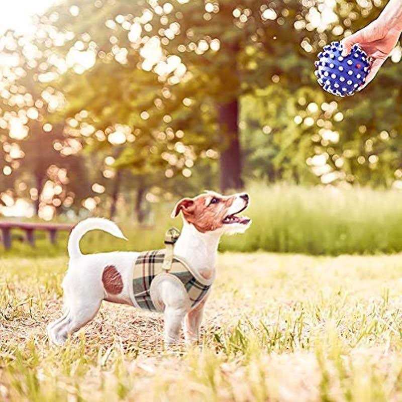 Pupteck Soft Mesh Dog Harness Puppy Padded Vest No Pull Harnesses