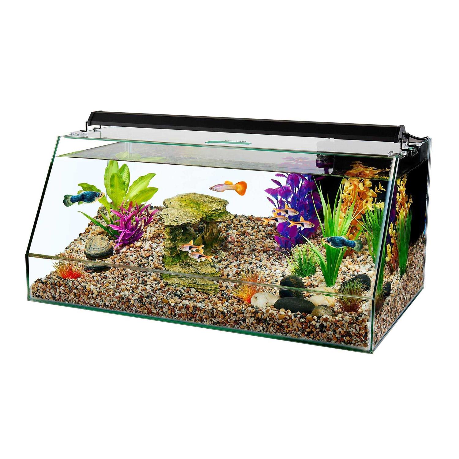 Top Fin Angledal Aquarium